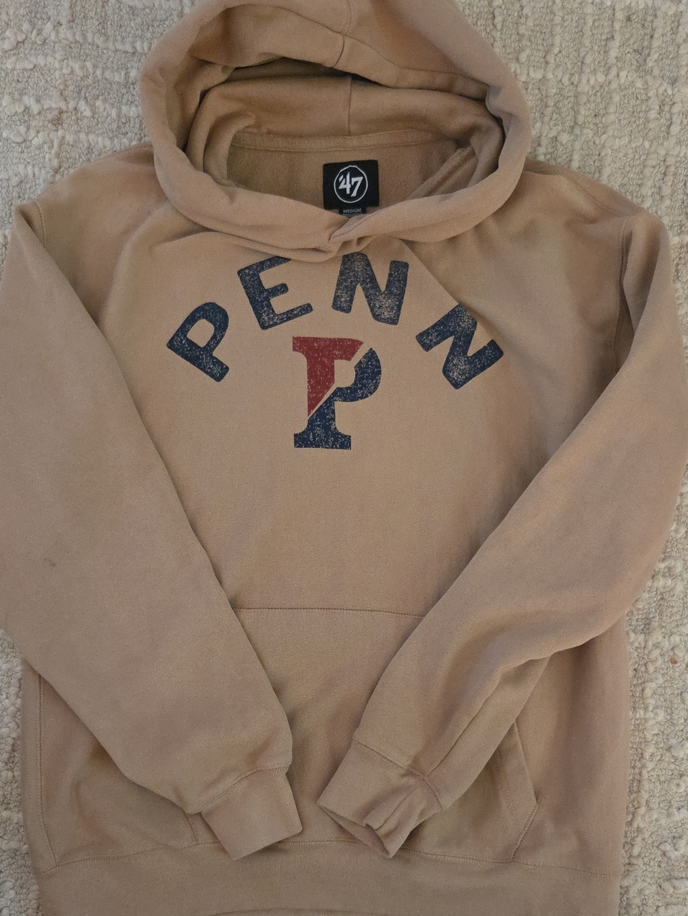 Penn Hoodie Pullover, Medium